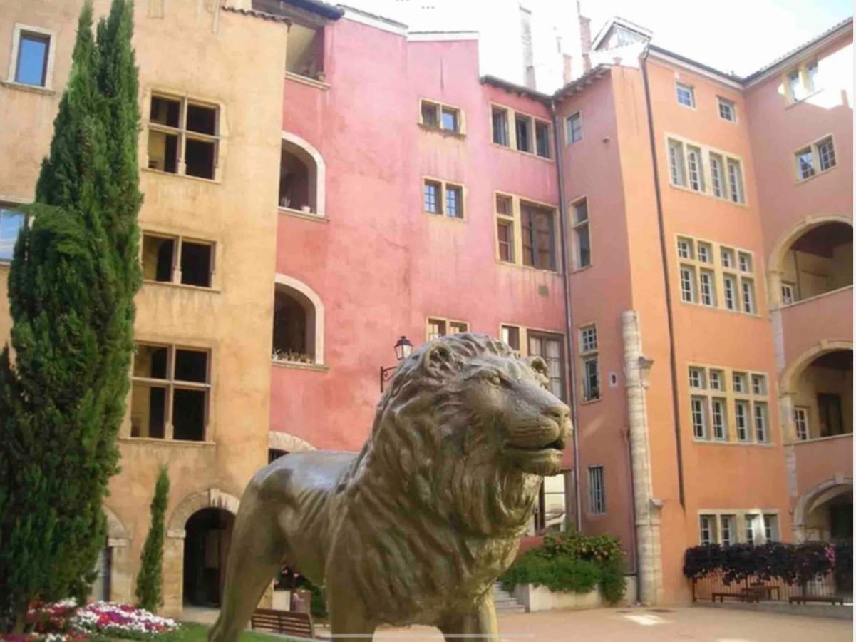 Beau Duplex Avec Jardin Et Vue Apartment Lyon Exterior foto